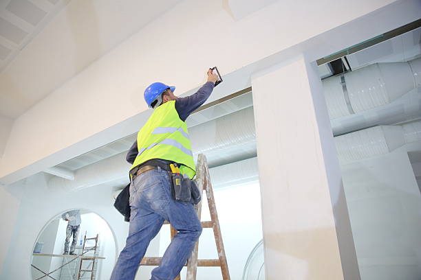 Best Drywall Removal and Disposal  in Fox River Grove, IL